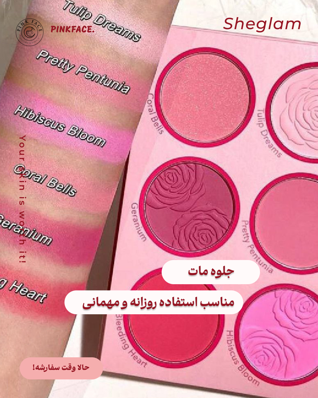رژگونه ۶رنگ شیگلم 2