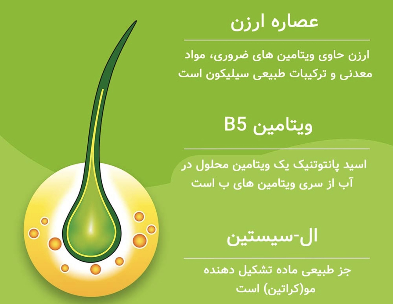 مکمل پریورین بایر آلمان اورجینال 5
